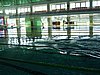 PICT0864.JPG