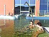 PICT0911.JPG