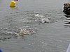 DSC00721.JPG