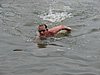 DSC00760.JPG