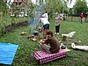 DSC00934.JPG