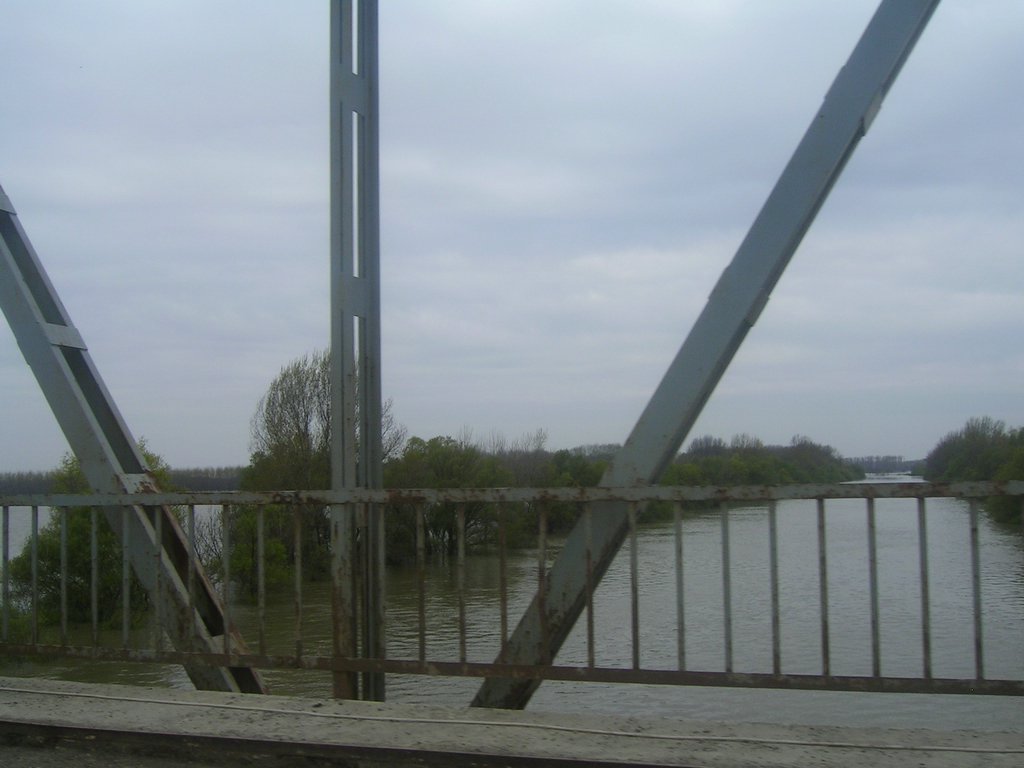 PICT0174.JPG