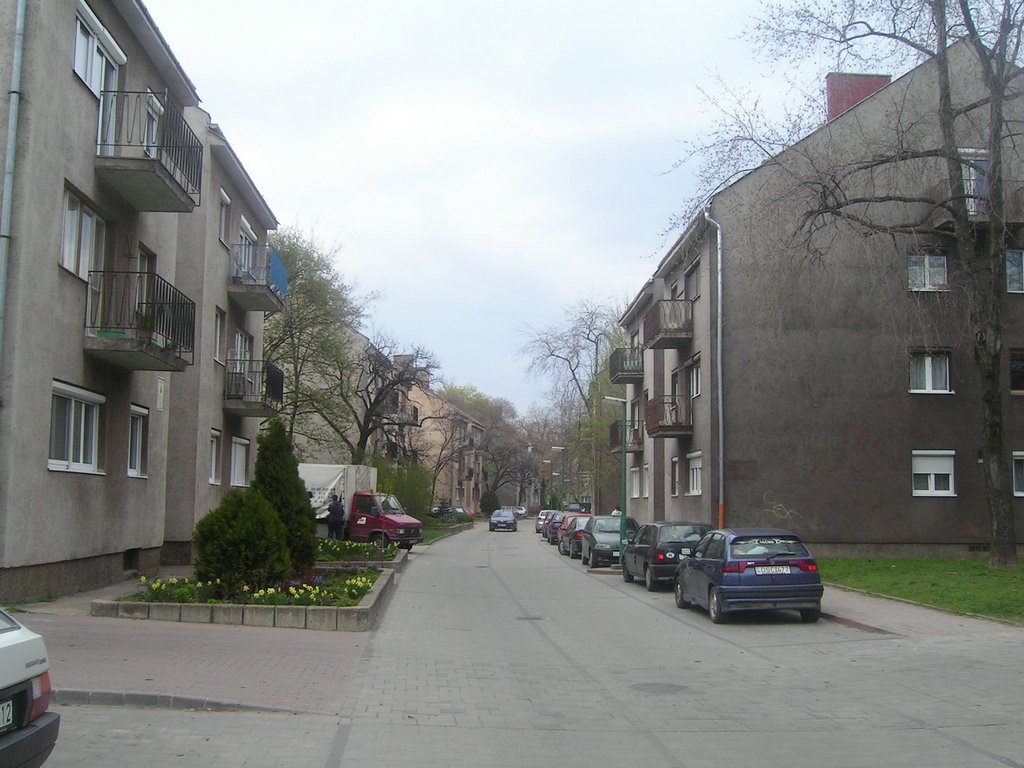 PICT0189.JPG