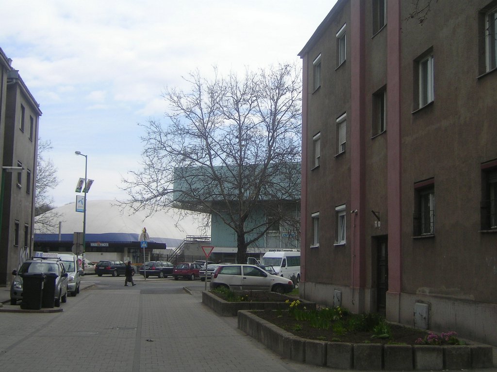 PICT0191.JPG