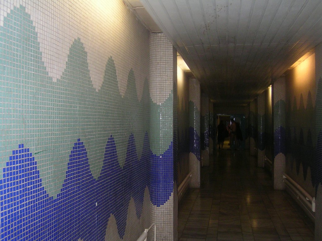 PICT0310.JPG