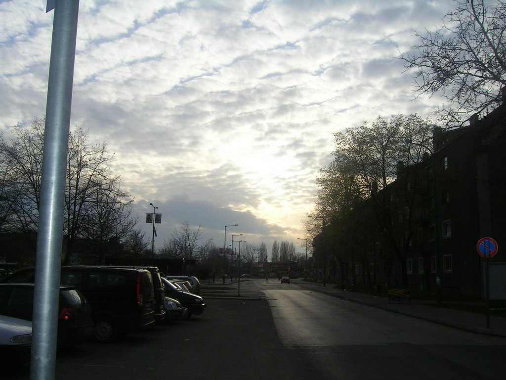 PICT0335.JPG
