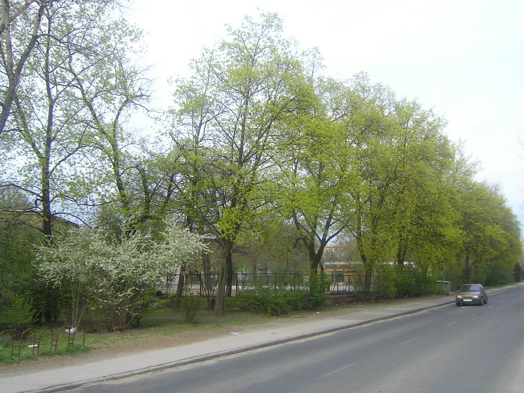 PICT0336.JPG