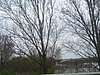 PICT0173.JPG