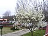 PICT0175.JPG