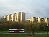 PICT0338.JPG
