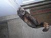 PICT0341.JPG