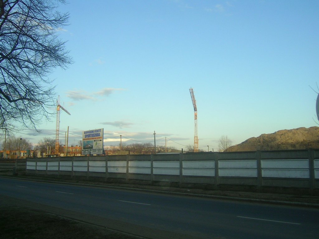 PICT0006.JPG