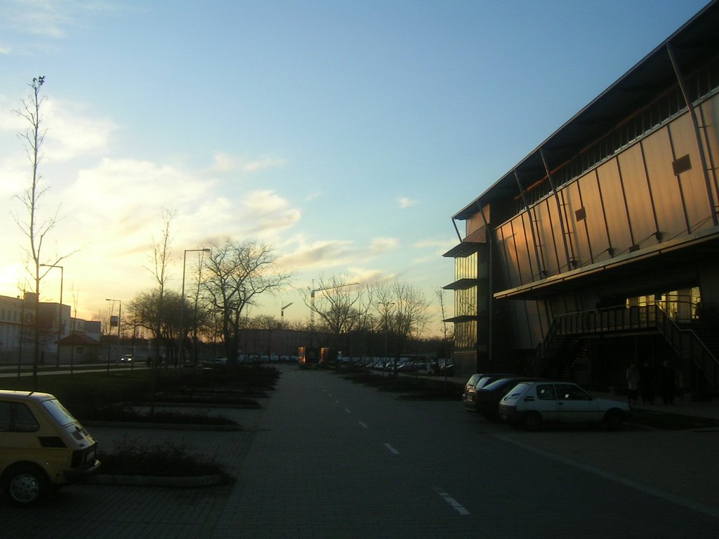 PICT0008.JPG