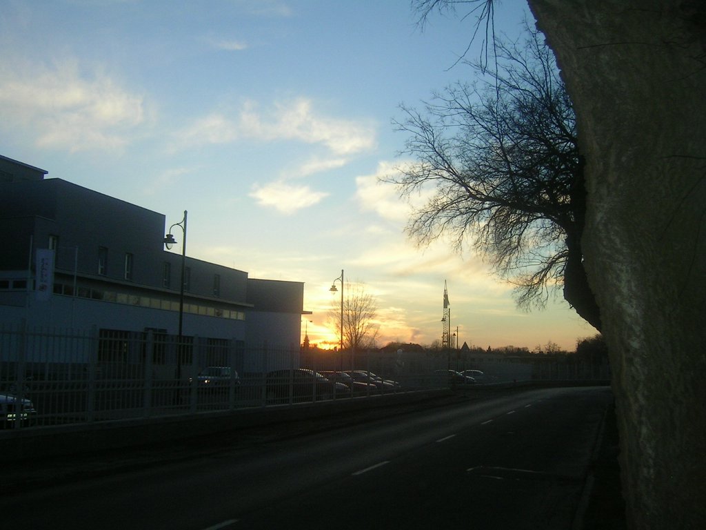 PICT0009.JPG