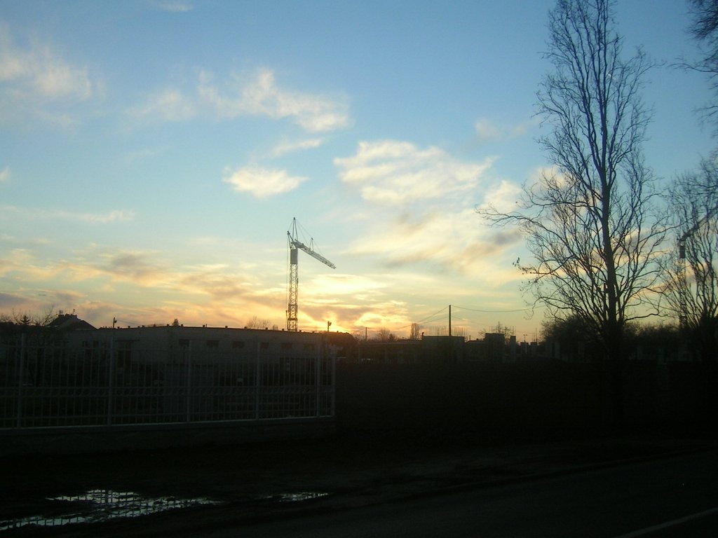 PICT0010.JPG