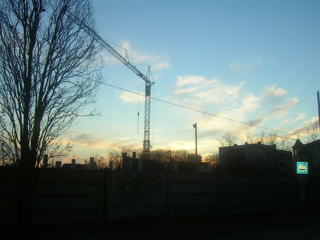 PICT0011.JPG