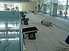 PICT0023.JPG