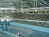 PICT0054.JPG