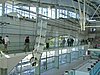 PICT0064.JPG