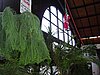 PICT1102.JPG
