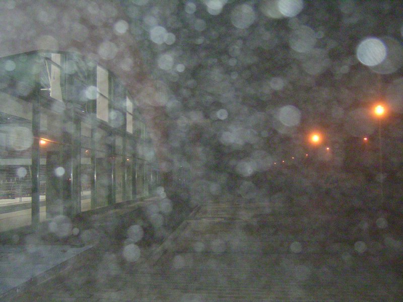 PICT1169.JPG