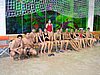 PICT0547.JPG