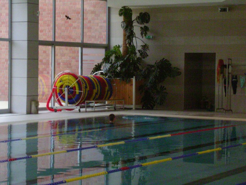 PICT0456.JPG