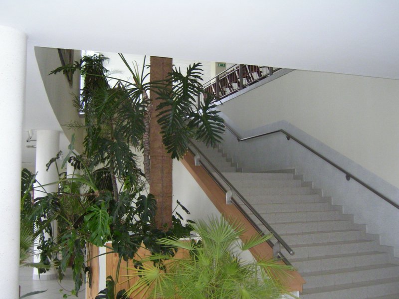 PICT0463.JPG