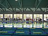 PICT0335.JPG