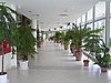PICT0462.JPG