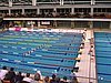 PICT0561.JPG