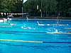 100_1413.JPG