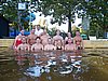 100_1445.JPG