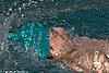 img_9532.jpg