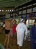PICT0100.JPG