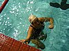 PICT0223.JPG