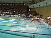 PICT0247.JPG