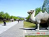 DSC01526b.jpg
