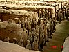 DSC01740b.jpg