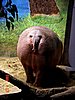 DSC02310b.jpg