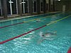 PICT0504.JPG