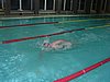PICT0505.JPG