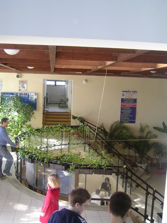PICT0114.JPG