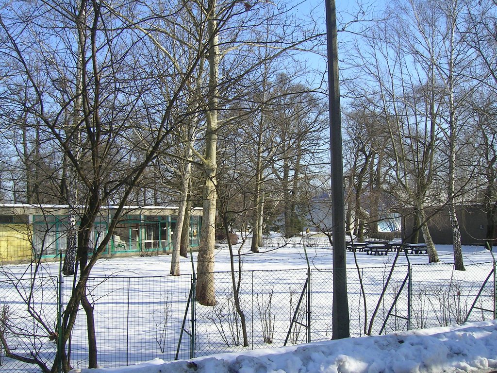 PICT0272.JPG