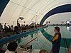 PICT0144.JPG