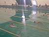 PICT0206.JPG