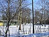 PICT0272.JPG