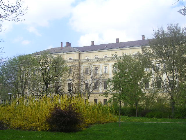 PICT0046.JPG