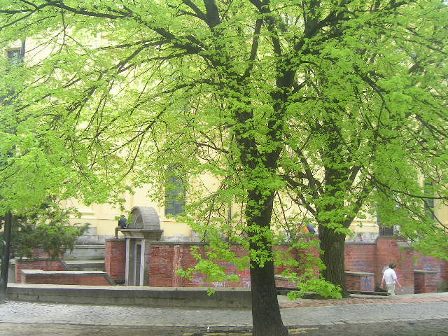 PICT0050.JPG