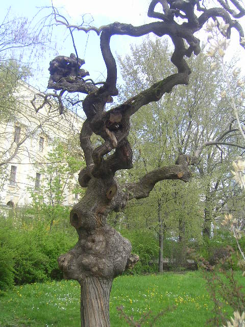 PICT0052.JPG